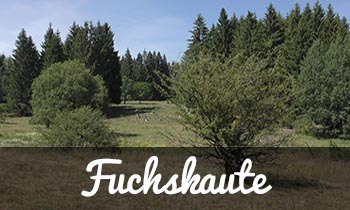 https://strudelettravel.com/index.php/fuchskaute/