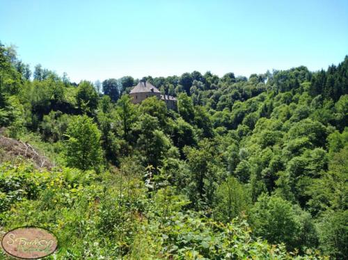 le château de Reinhardstein 11