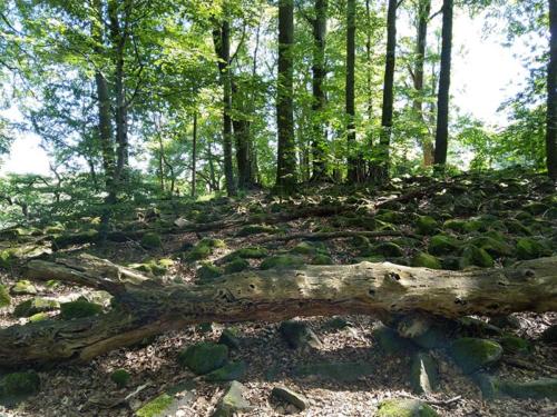 Burbach Großer Stein 5