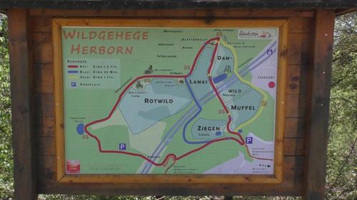 Herborn Wildgehege 1