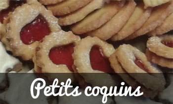 pet_coq_1pt