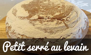 pet_ser_lev_1pt